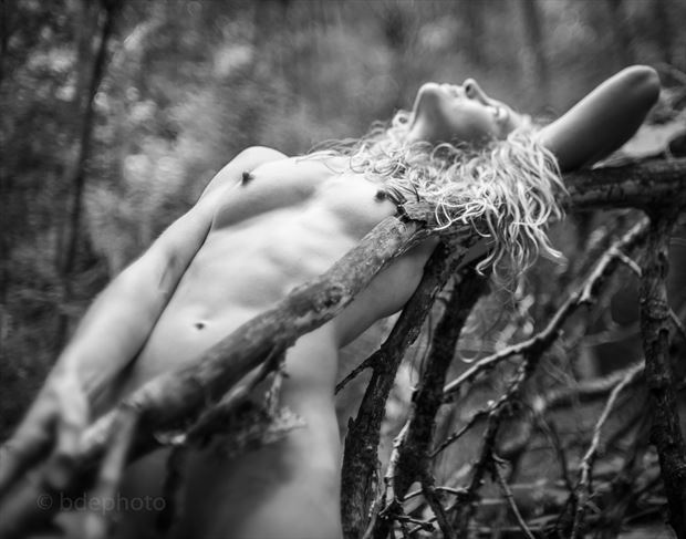 forest song artistic nude photo by photographer dave earl