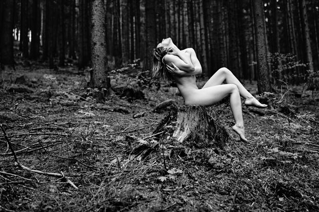 forest tale 1 artistic nude artwork by artist kuti zolt%C3%A1n hermann