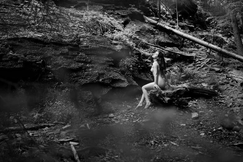 forest tale 2 artistic nude photo by photographer kuti zolt%C3%A1n hermann
