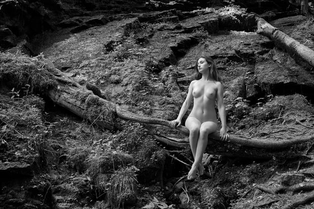forest tale 9 artistic nude photo by photographer kuti zolt%C3%A1n hermann
