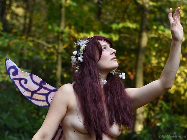 forestfairy nature photo by photographer jb modelwork