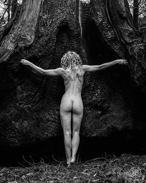 formidable artistic nude photo by photographer poorx photography