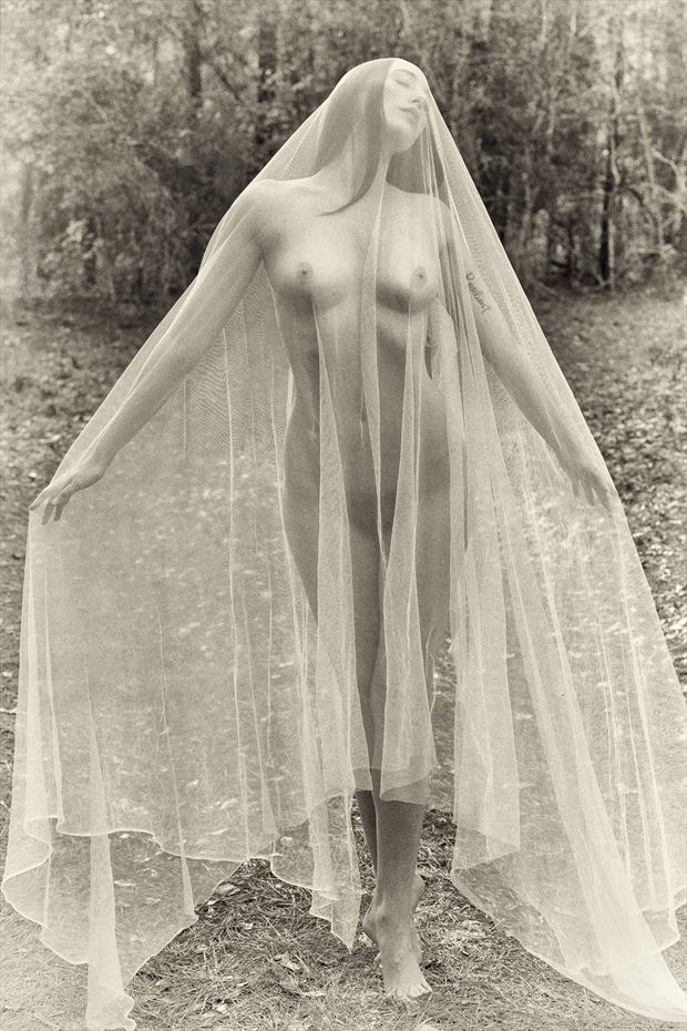 french postcard artistic nude photo by photographer longleaf imagery