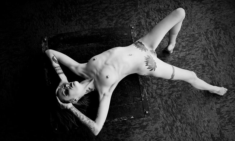 from above artistic nude photo by photographer luke adam