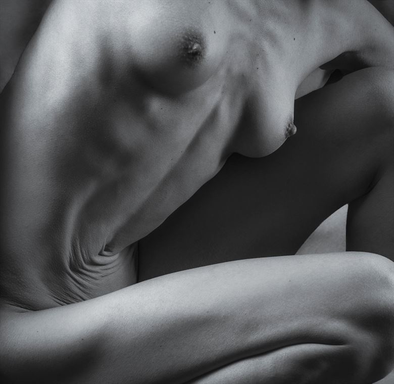 from my cropped collection artistic nude artwork by photographer dieter kaupp