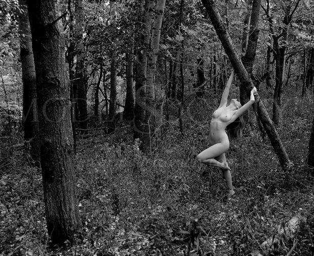 frontenac state park mn artistic nude photo by photographer ray valentine