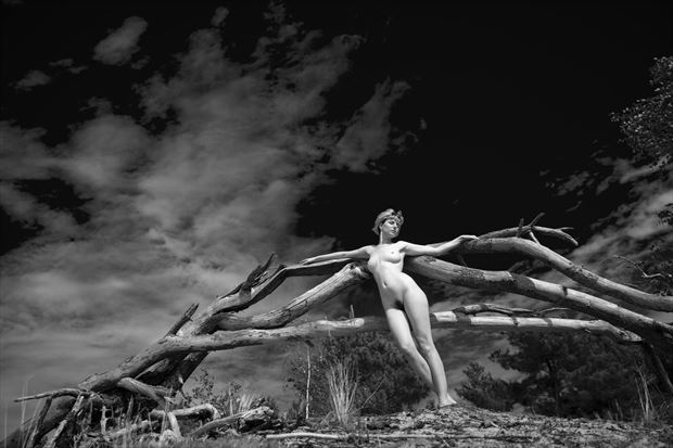 gabriel artistic nude photo by photographer louis sauter