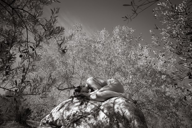 garden of dreams Artistic Nude Photo by Photographer Garden of the Muses