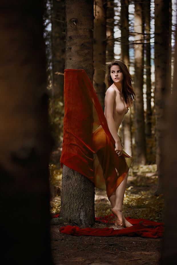 georgiana in the woods artistic nude photo by photographer gabi gogiu