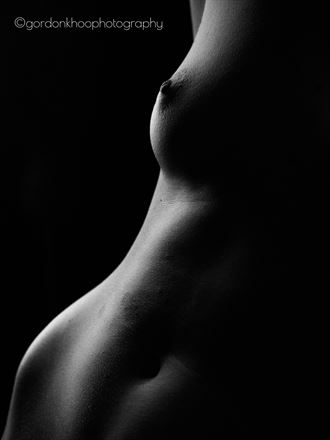 ginger rox bodyscape artistic nude photo by photographer gordonkhoophotography