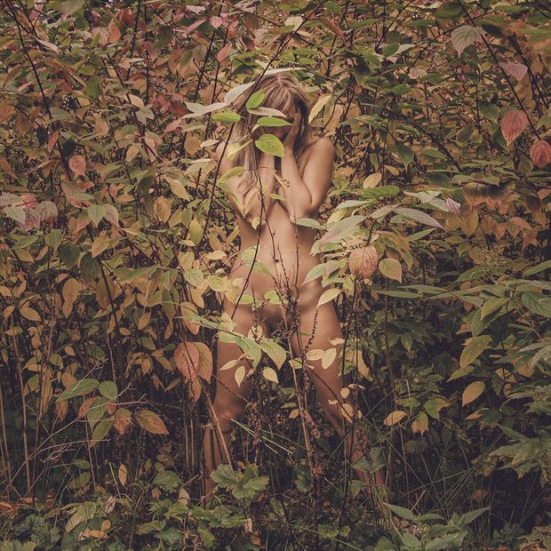 girl foliage autumn nude body beauty artistic nude photo by photographer dml