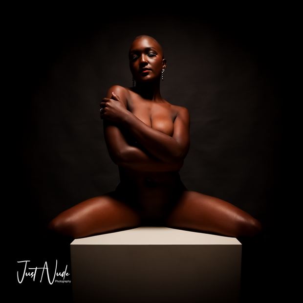 girl with diamonds artistic nude photo by photographer justnude nl