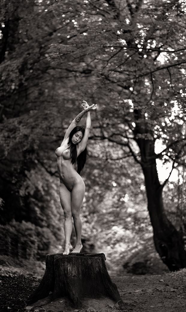 goddess of the forest artistic nude photo by artist finegan
