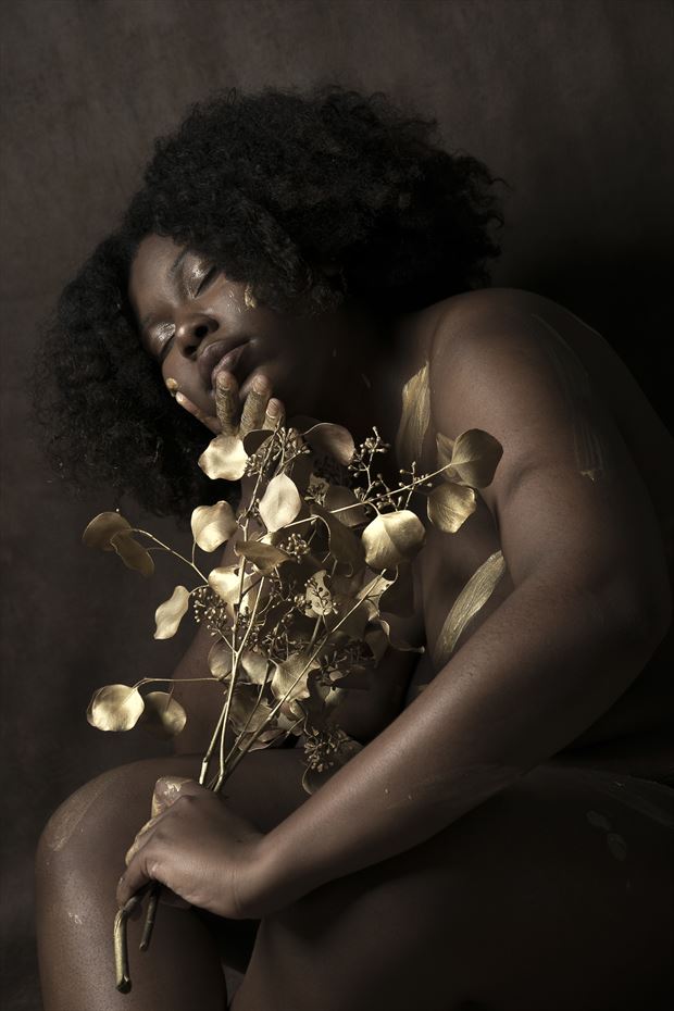 gold artistic nude photo by photographer robert koudijs