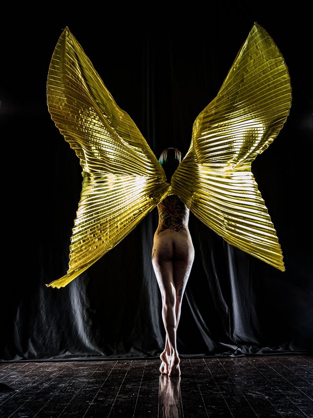 golden butterfly artistic nude photo by photographer darth slr