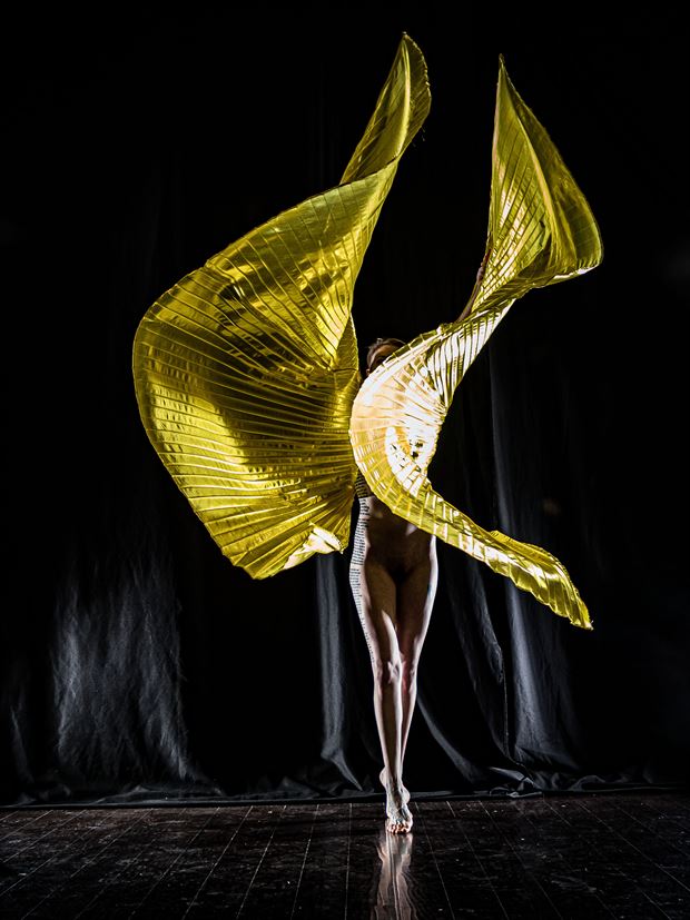 golden wings artistic nude photo by photographer darth slr