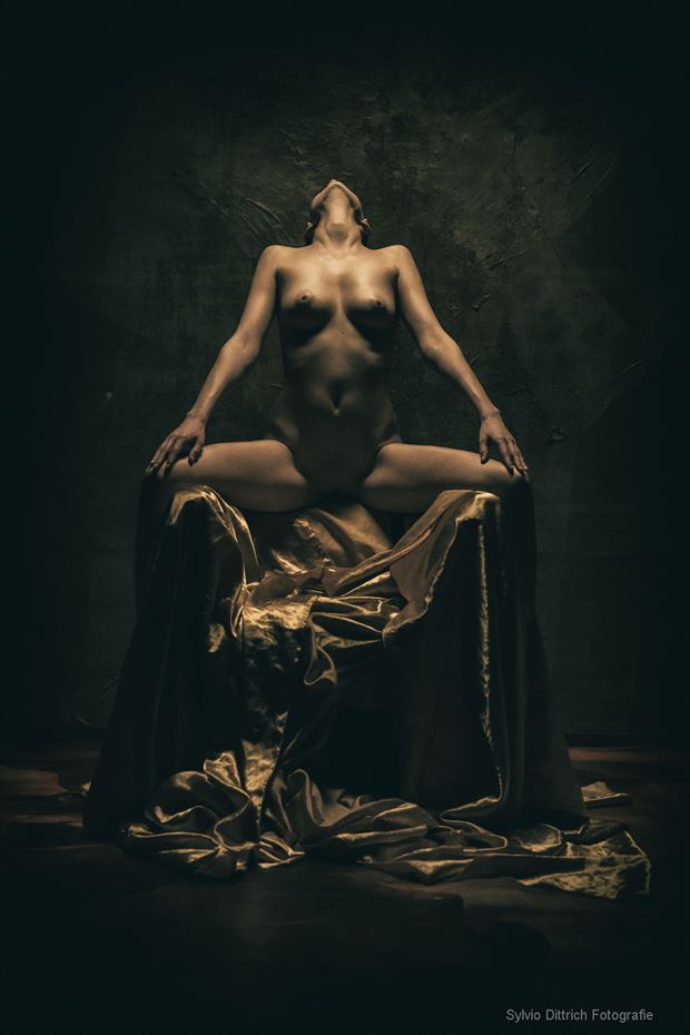 goldenes empfangen artistic nude photo by photographer s dittrich