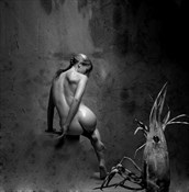 good boy, stay! Fantasy Photo by Artist jean jacques andre