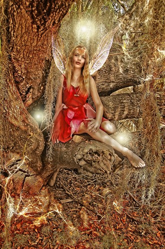 gossamer Fantasy Artwork by Photographer tytanifairy