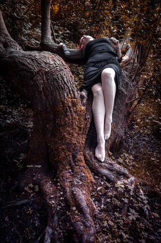 gothy woodland shoot with Richard Gould Nature Photo by Model  Pinklilith