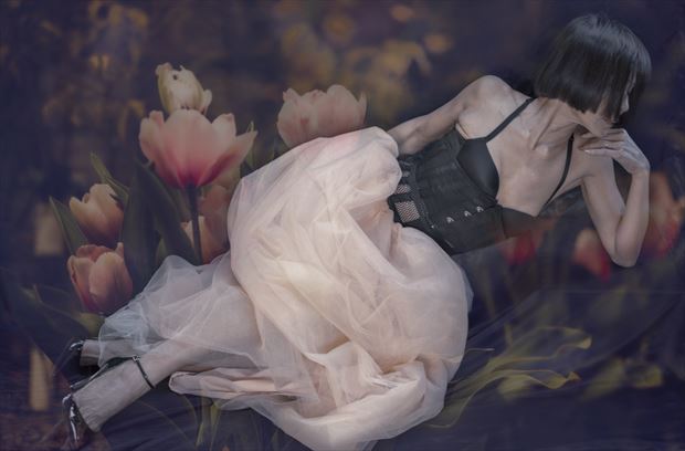 grace in a bed of tulips lingerie photo by photographer jody frost