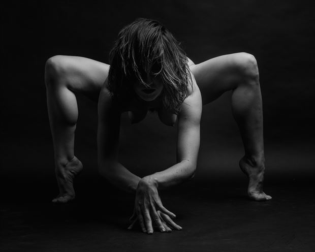 gwen or crab artistic nude photo by photographer 2photographics