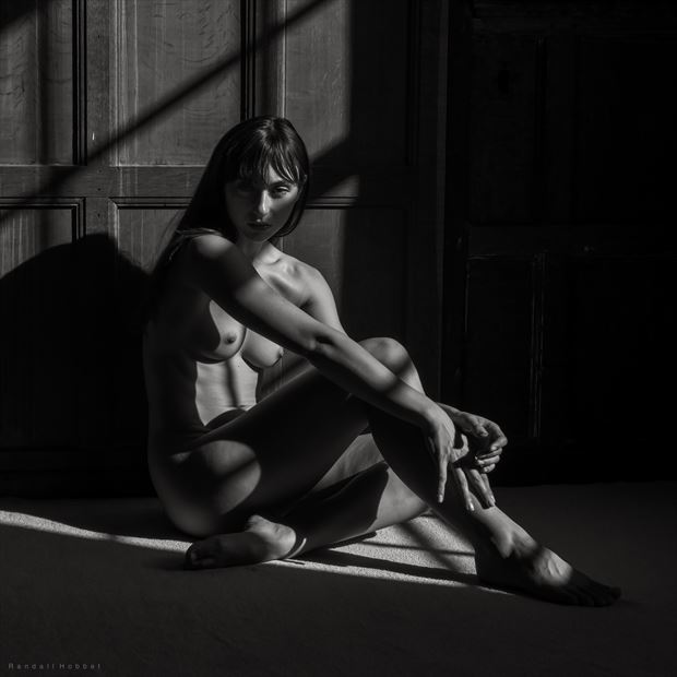 half shadowed artistic nude photo by photographer randall hobbet