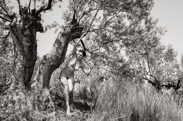 hamadryad Artistic Nude Photo by Photographer Garden of the Muses