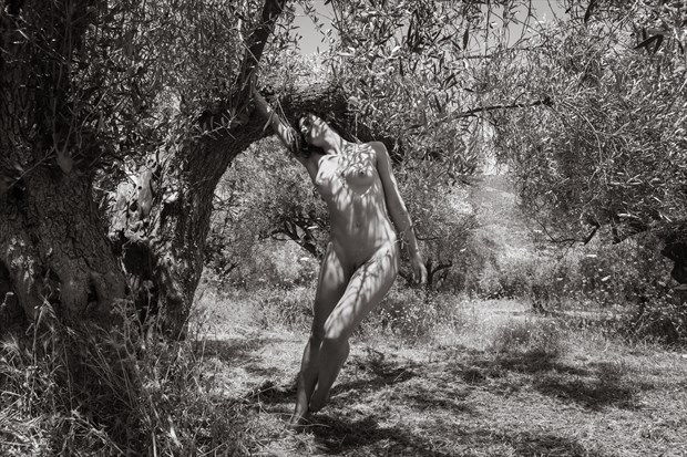 hamadryad Artistic Nude Photo by Photographer Garden of the Muses