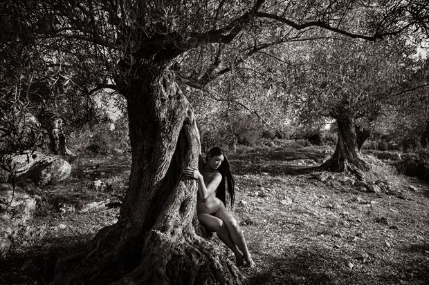 hamadryad artistic nude photo by photographer garden of the muses
