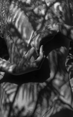 hands and branches artistic nude photo by photographer artphotovision