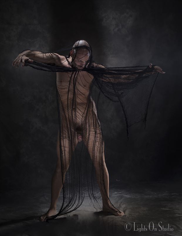 hansel mesh artistic nude photo by photographer thomasnak