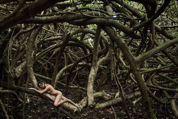 hawaii jungle with reece artistic nude photo by photographer light workx