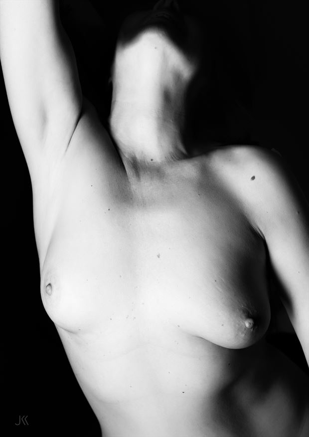 heidi 2016 5 artistic nude photo by photographer jankarelkok