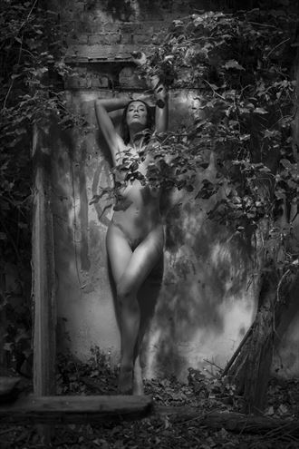 helen wykes artistic nude photo by photographer white tiger