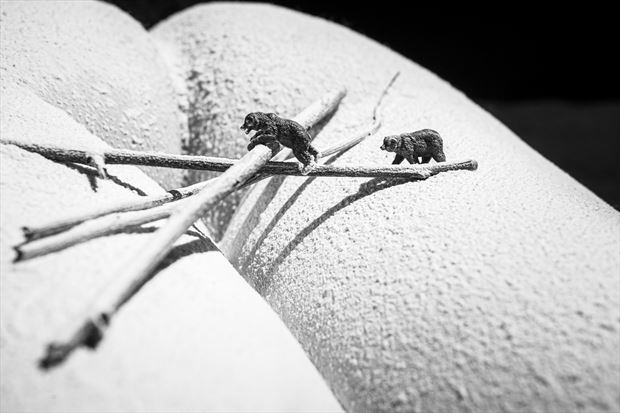 hibernation abstract photo by photographer joncpics2