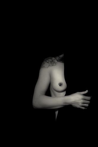 hidden agenda artistic nude photo by model elle woods