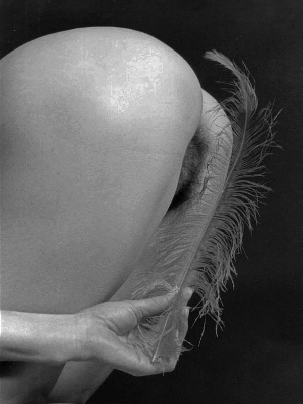 hommage %C3%A0 ralph gibson 4 artistic nude photo by photographer dick