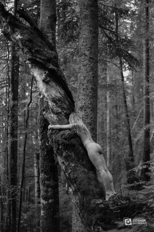 hugging a dead tree artistic nude photo by photographer cosmin calin giurgiu