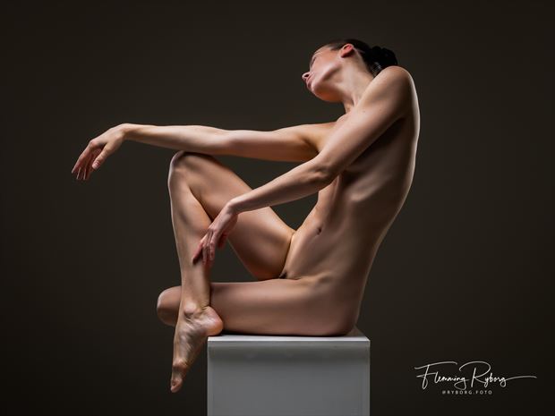 human sculpture artistic nude photo by photographer flemming ryborg