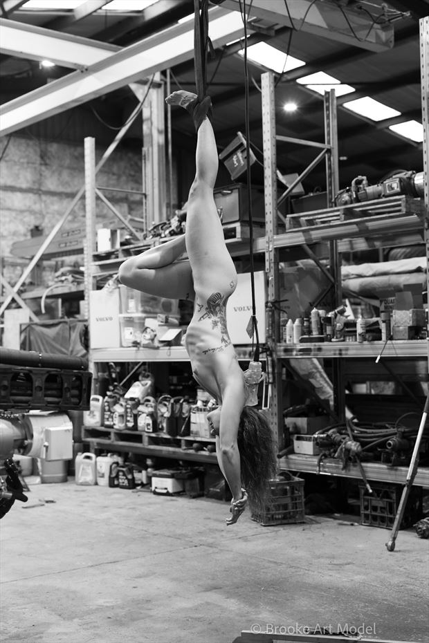hung artistic nude photo by model brooke art model
