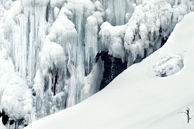 ice age creature Nature Photo by Photographer Laila Pregizer