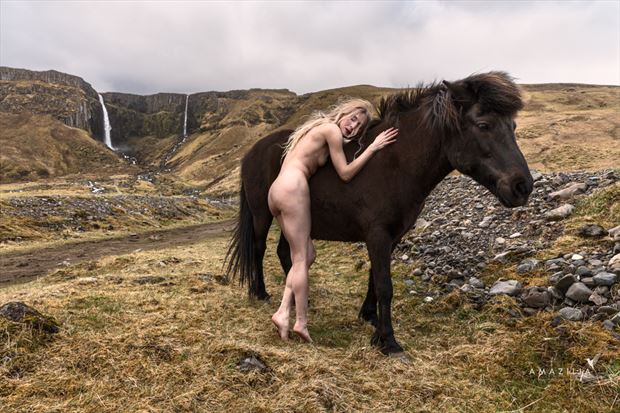 icelandic pony artistic nude photo by photographer amazilia photography
