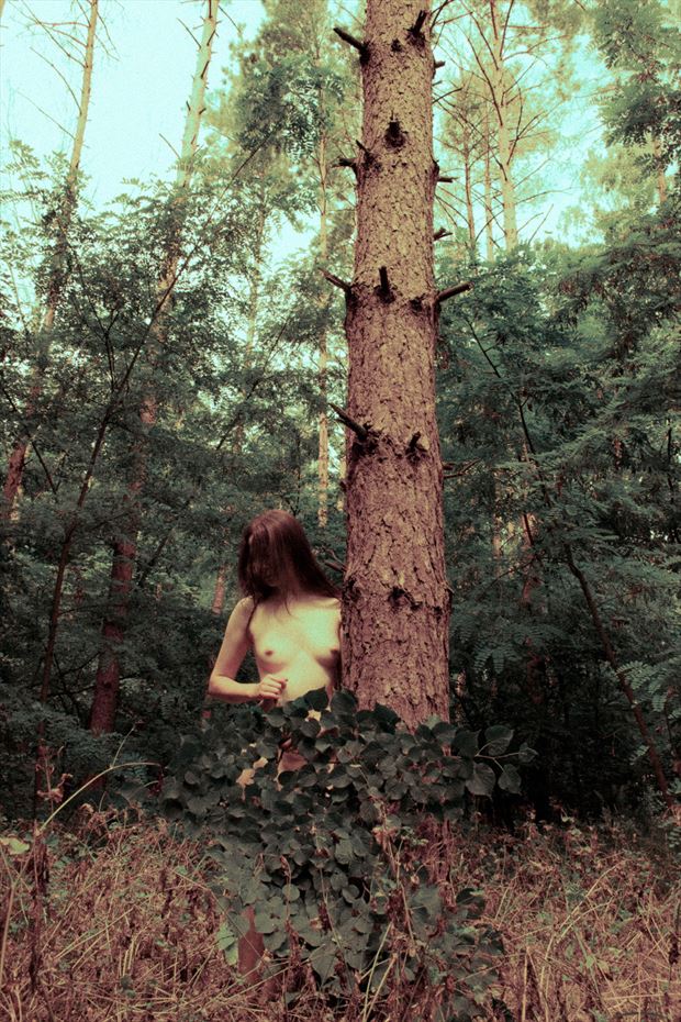 in forest artistic nude photo by photographer nude t1m3s