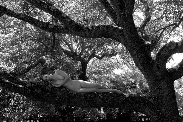 in llimbo artistic nude photo by photographer carl kerridge
