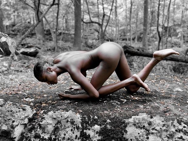 in search of artistic nude artwork by photographer passion for art