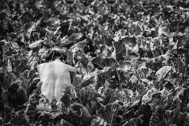 in the cabbage patch artistic nude photo by photographer brian cann
