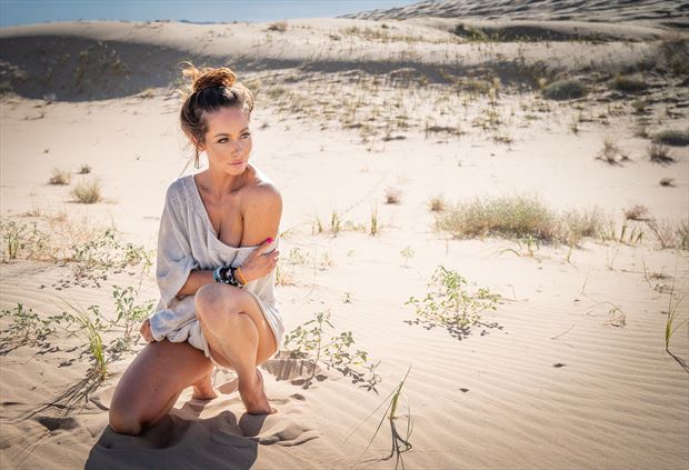 in the dunes nature photo by photographer art of lv