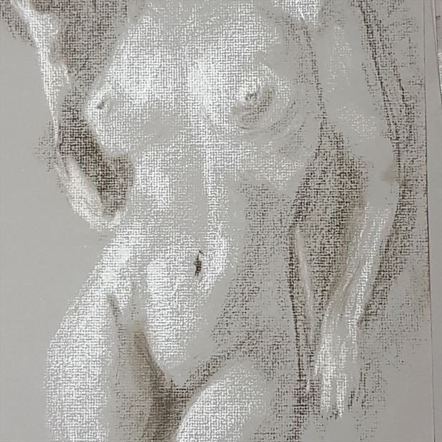 in the garden nude artistic nude artwork by artist portraitman80