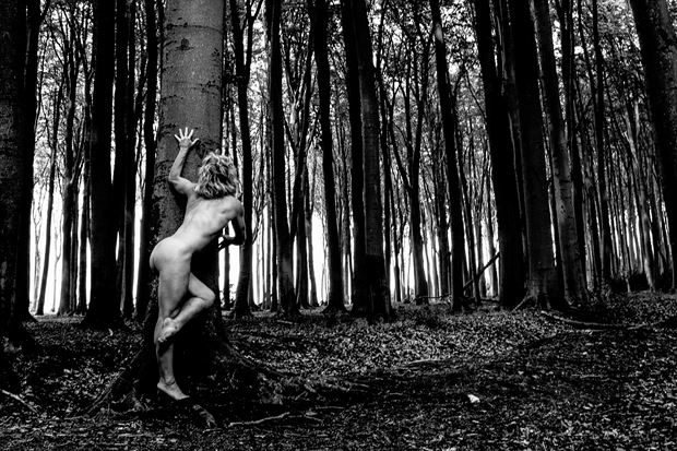 in the gespensterwald 3 artistic nude photo by photographer brian cann